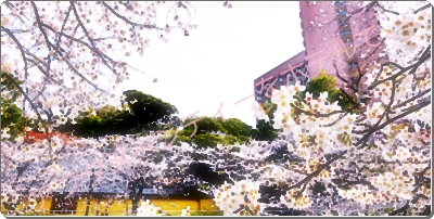 ホテル椿山荘東京　桜